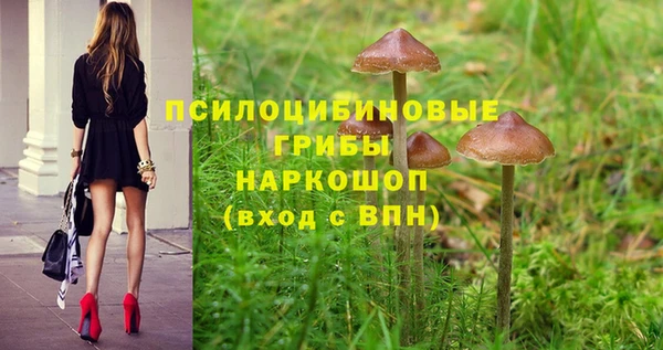 а пвп мука Армянск