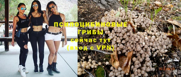 ALPHA PVP Арсеньев